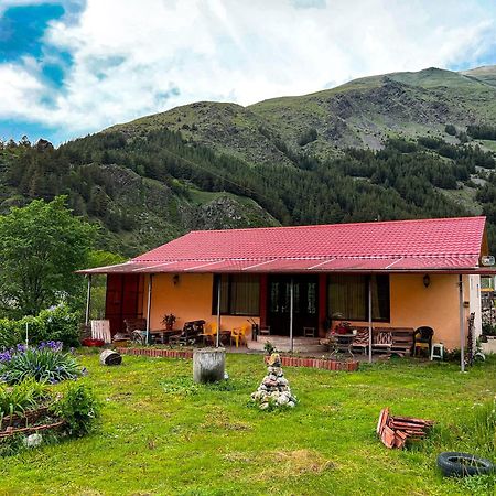 Januka Garden At Sno Villa Kazbegi Eksteriør bilde