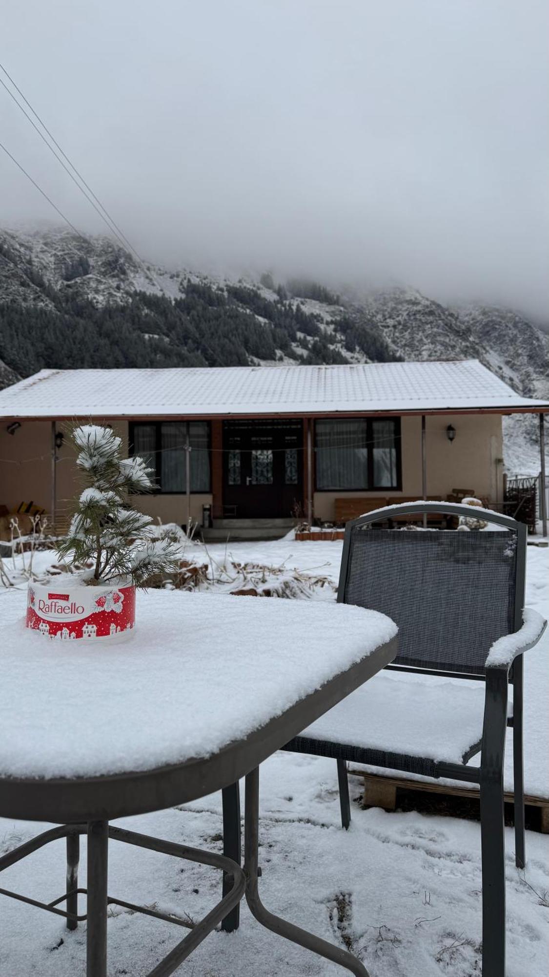 Januka Garden At Sno Villa Kazbegi Eksteriør bilde