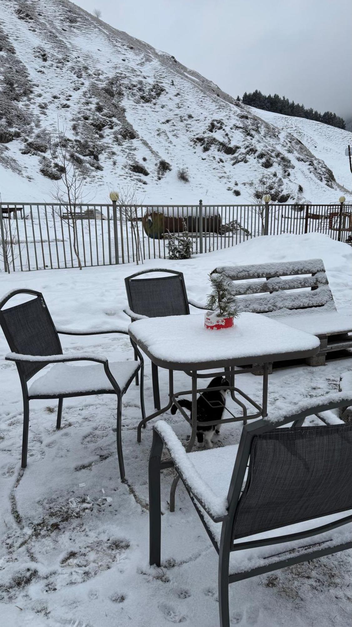 Januka Garden At Sno Villa Kazbegi Eksteriør bilde