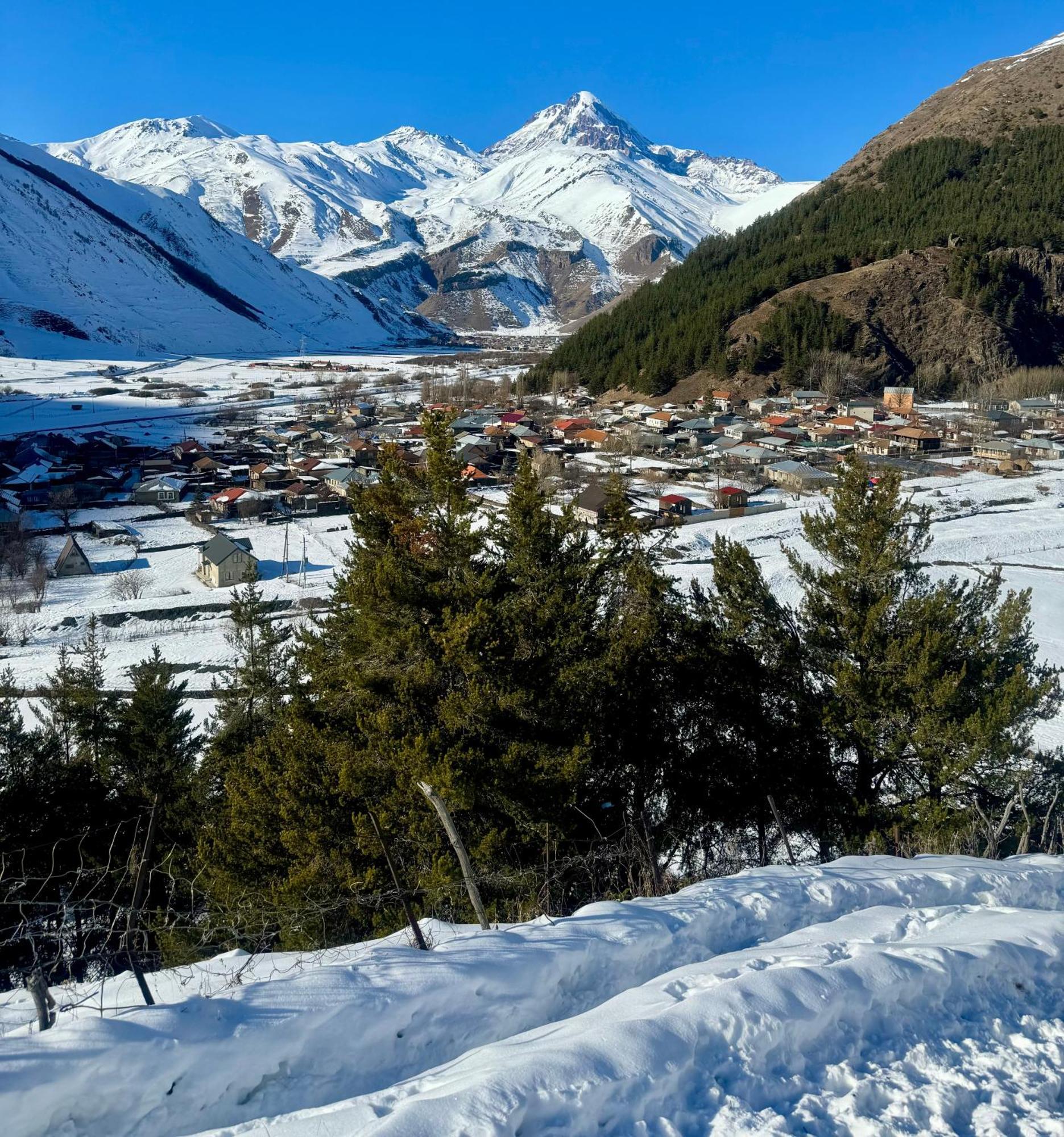 Januka Garden At Sno Villa Kazbegi Eksteriør bilde